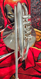 Bach 1102 Yamaha 567 Stencil Nickel Silver Double French Horn (Free Postage Lower 48 States)