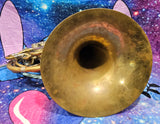 Meister Carl Monnig East Germany Double French Horn (Free Shipping Lower 48 States)