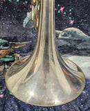 King (Lorenzo Sansone) Silver 5 valve Bb Single French Horn (Free Postage Lower 48 States)