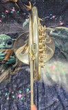 King (Lorenzo Sansone) Silver 5 valve Bb Single French Horn (Free Postage Lower 48 States)