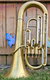 Conn 19I 4 Valve Yellow Brass Euphonium (Free Shipping Lower 48 States)