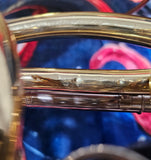 Conn 10D Geyer Wrap Fixed Bell Double French Horn W/New Protec Case (Free Postage Lower 48 States)