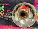 Holton H378 Yellow Brass Double French Horn "Great Compression" (Free Shipping Lower 48 States)