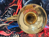 Conn 6D Eastlake Williams Modified Custom Double French Horn (Free Postage Lower 48 States)