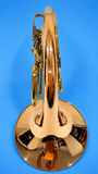 Holton H181 Gold Brass Double French Horn (Free Shipping Lower 48 States)