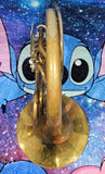Meister Carl Monnig East Germany Double French Horn (Free Shipping Lower 48 States)