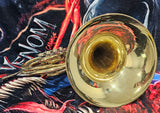 Conn 10D Geyer Wrap Fixed Bell Double French Horn W/New Protec Case (Free Postage Lower 48 States)