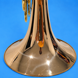 Holton H181 Gold Brass Double French Horn (Free Shipping Lower 48 States)