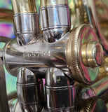 Holton H190 Geyer Wrap Yellow Brass French Horn PERFECT COMPRESSION (Free Postage Lower 48 States)