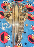 Yamaha YHR-567 Geyer Wrap Yellow Brass Double French Horn (Free Shipping Lower 48 States)