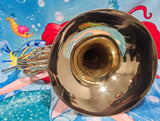 Yamaha 567 "Geyer Wrap" Yellow Brass Double French Horn (Free Postage Lower 48 States)