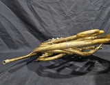 CF Schmidt Pre WW 1 Double French Horn (Free Postage Lower 48 States)