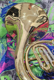 Olds Single B-Flat French Horn "Great Compression" Excellent Condition" Free Postage Lower 48 States