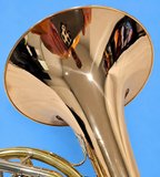 Holton H181 Gold Brass Double French Horn (Free Shipping Lower 48 States)